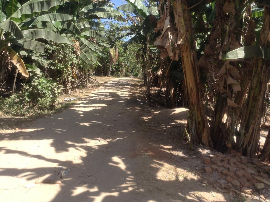 Rasti Homestay Kuta  ภายนอก รูปภาพ